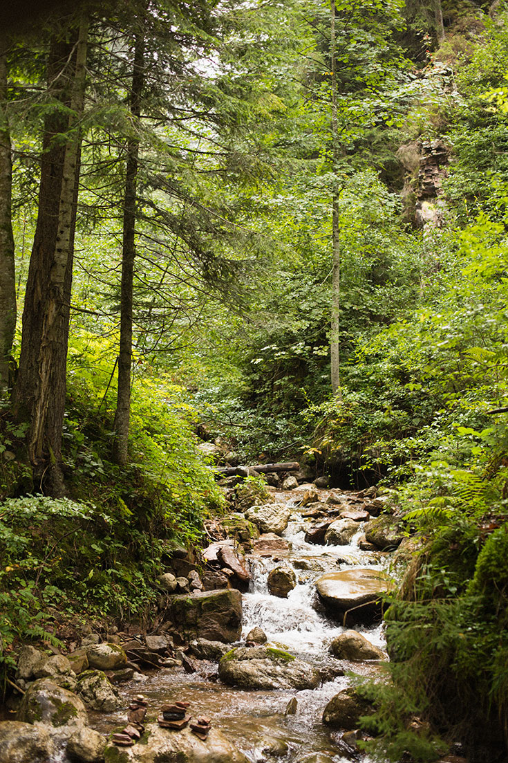 Eco-Lifestyle-Waldbaden-Trend-Japan-Shinrin-Yoku-Waldtherapie-Wald-Meditation-Wälder