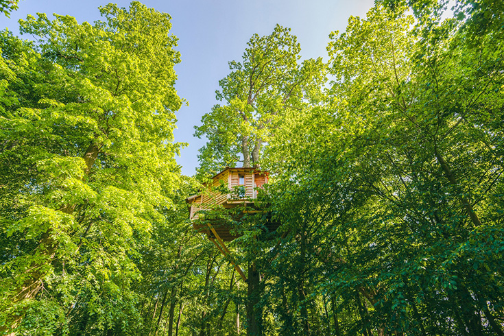 Naturhäuschen – Slow Travel in einem Ferienhaus im Grünen: Baumhaus