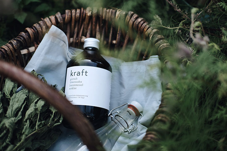 Wildkräuter zum Trinken – Kruut bringt heimische Kraftpakete in die Flasche: Tinktur, Elixier