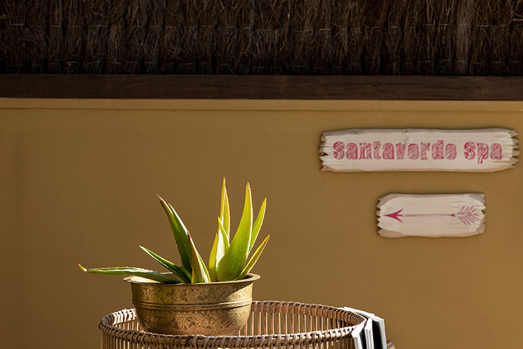 Santaverde Spa auf Mallorca – Entspannendes Treatment mit frischer Aloe-Vera, Wellness, Naturkosmetik Behandlung