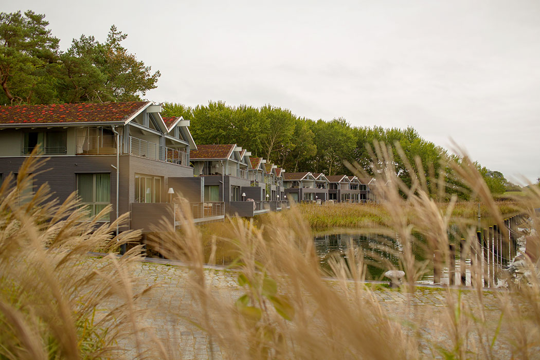 Naturoase Gustow »Im Jaich« – nachhaltige Ferienhäuser auf Rügen