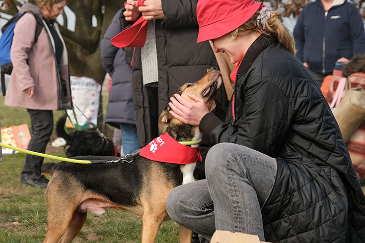 Bark Date – Den passenden Hund aus dem Tierschutz finden. Hunde aus dem Tierschutz oder Tierheimen suchen ein neues Zuhause. Beim Bark Date in Berlin könnt ihr Tierschutzhunde live kennenlernen.