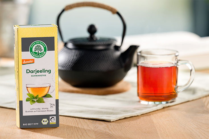 Bio Tee aus ökologischem Anbau ohne Schadstoffe, Giftstoffe, Pestizide, künstliches Aroma. Die besten Marken für nachhaltigen Fair Trade Tee: Bio Schwarztee von Lebensbaum