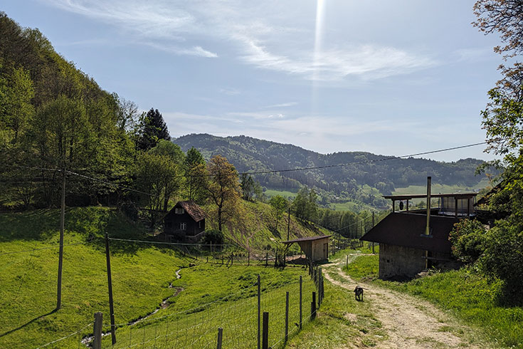 Lebenshof Mut im Bauch – Ein sicheres neues Zuhause für gerettete Tiere: Schweine, Hunde, Ziegen. Vegane Gastwirtschaft mit veganen Gerichten. Wandern am Mühlenweg im Schwarzwald