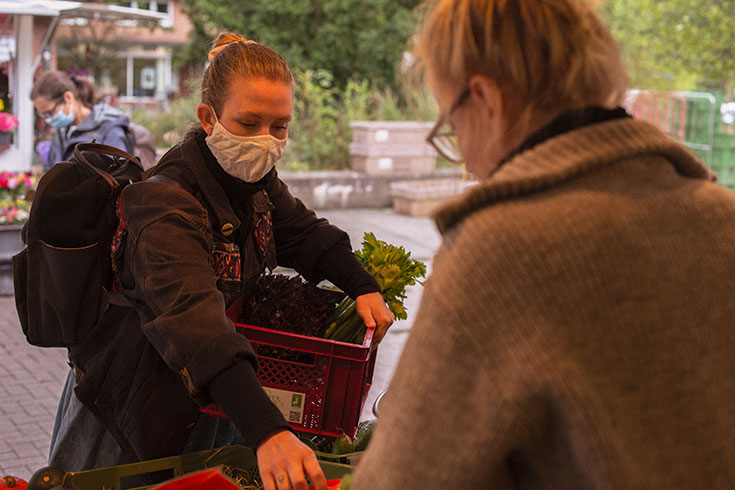 Regionale Lebensmittel – so schnell kommt dein Bio-Gemüse in die Stadt: Bio Spitzenköche, Gut Wulksfelde, Bio Gemüsekiste, Wochenmarkt